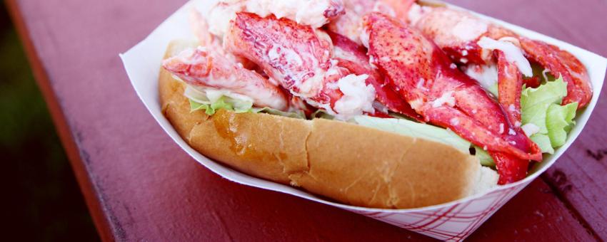 Fresh Maine lobster roll