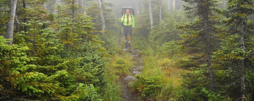 Trail below Sugarbush IV