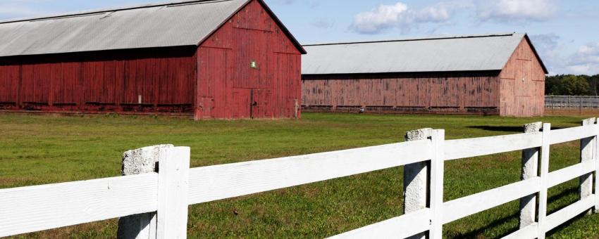 Tobacco Barns in Windsor, Connecticut. Original image from Carol M. Highsmith’s America, Library of Congress collection. Digitally enhanced by rawpixel.