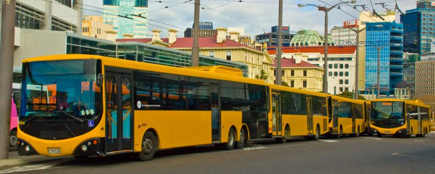 Global yellow, Wellington, New Zealand, 1 July 2008