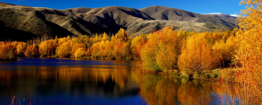 Autumn at Twizel, New Zealand.