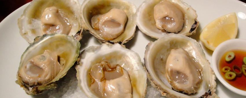 bluff oysters with sherry viniagrette