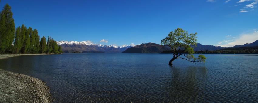 Wanaka