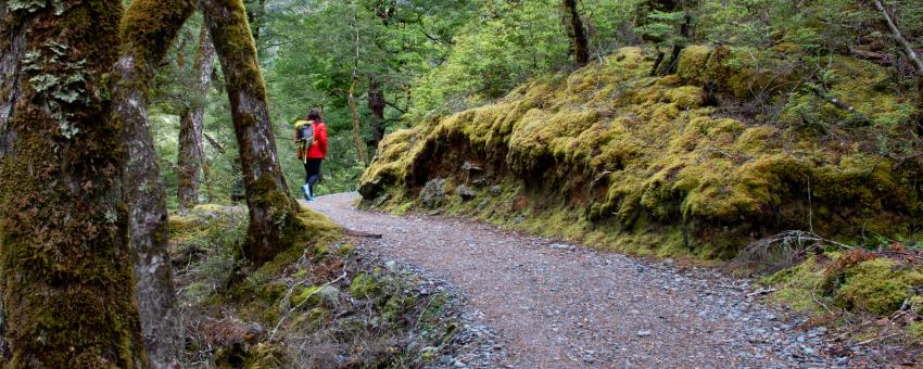 Routeburn Track