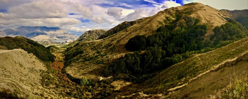 Arrowtown - Sawpit Gully Track