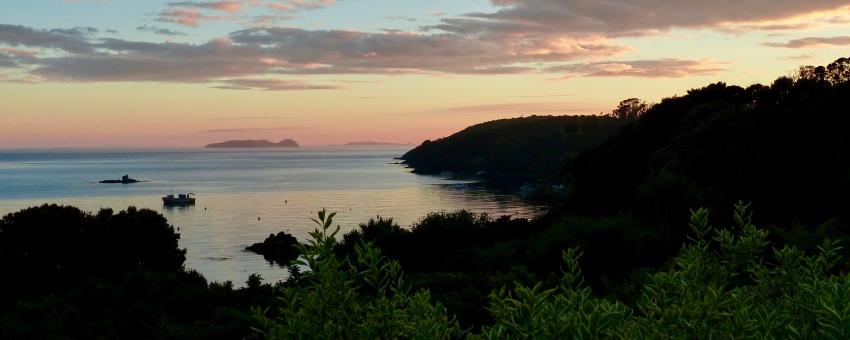 Stewart Island sunrise