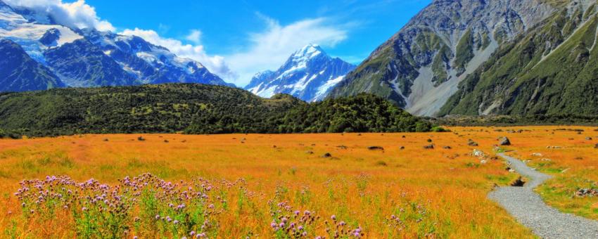 Mt.Cook