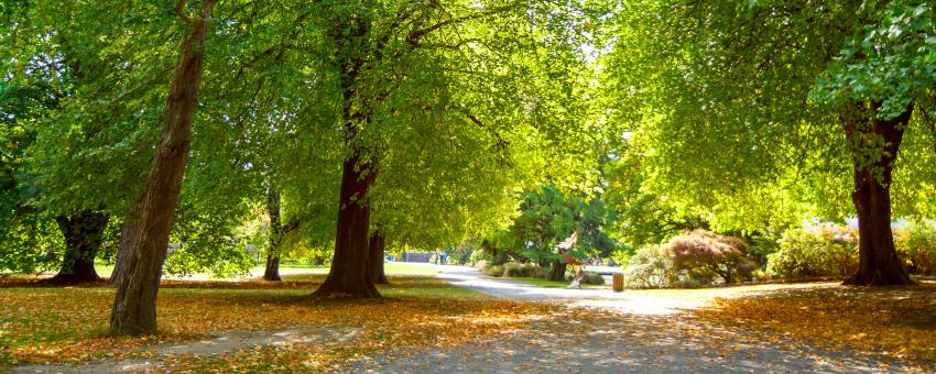 Christchurch botanic gardens