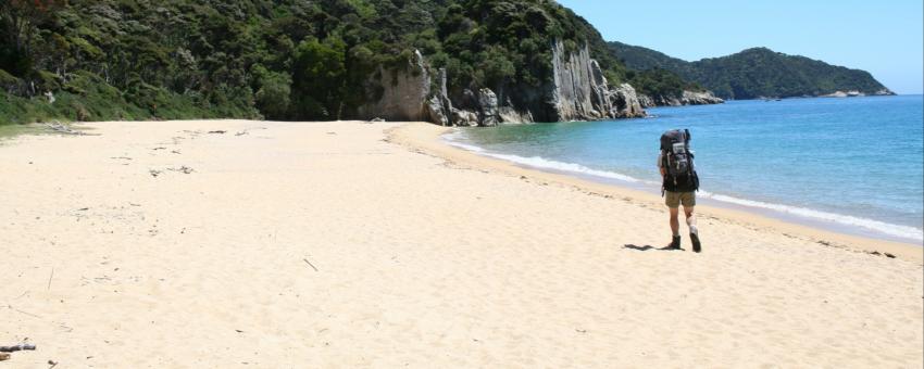 Anapai Bay - Abel Tasman Coast Track