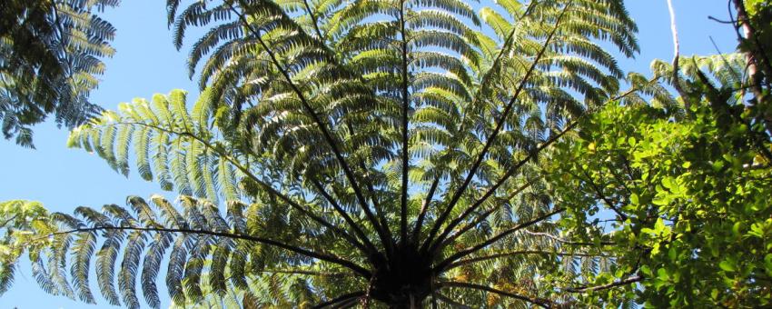 Queen Charlotte Track