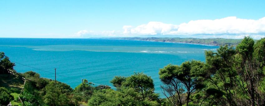 Raglan, NZ coast - plume of turbid water after storm visible