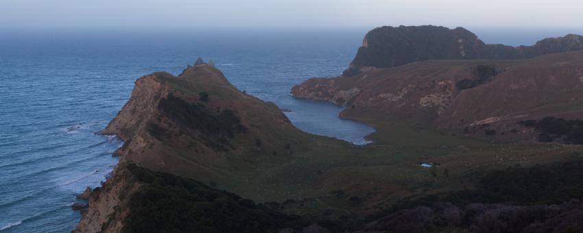 Cook's Cove, Tolaga Bay