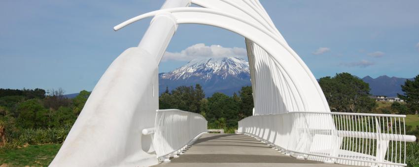 Coastal Walkway