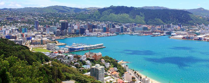 View of Wellington from Mt Victoria (10)