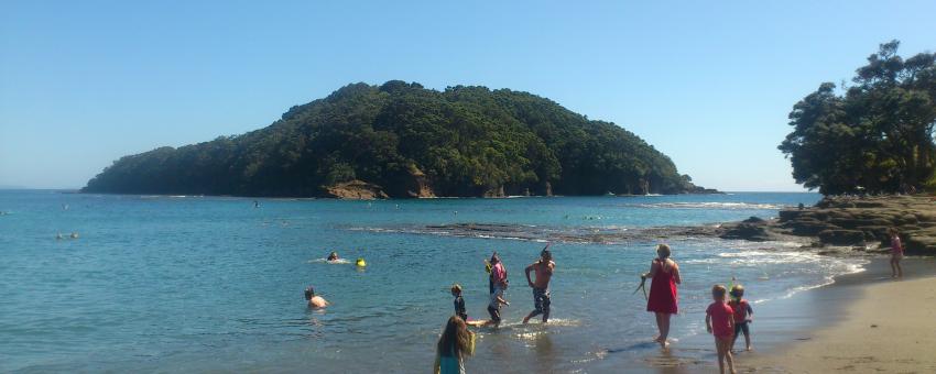 Goat Island marine reserve