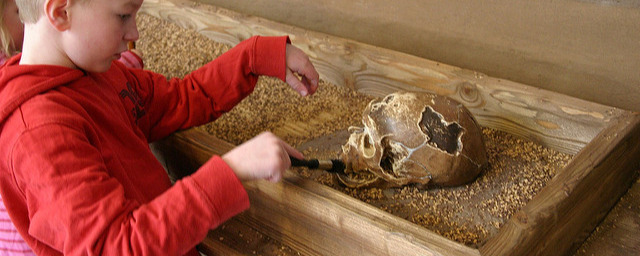 Morgan the Archaeologist