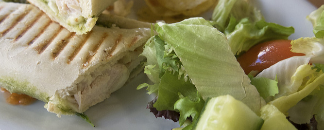 Chicken Pesto Panini at Olive & Bean Chicken Pesto Panini at Olive & Bean