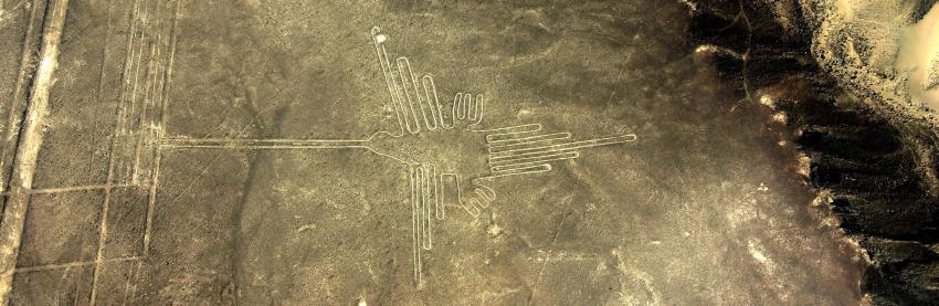 Nazca Lines - Hummingbird