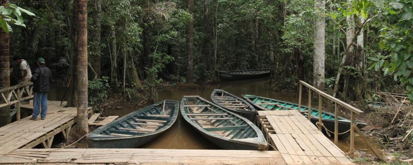 Amazon, Peru Amazon, Peru
