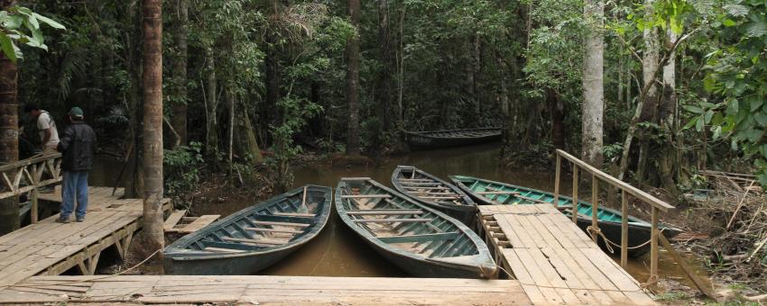 Amazon, Peru