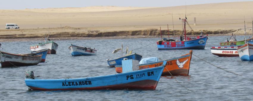 Peruvian Fishing Boats