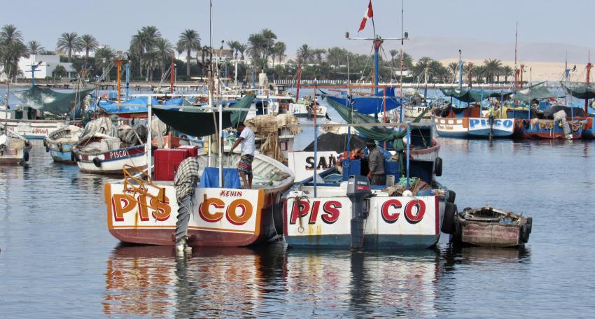 Pisco harbor