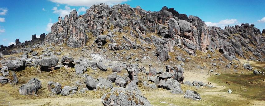 El Bosque de piedras