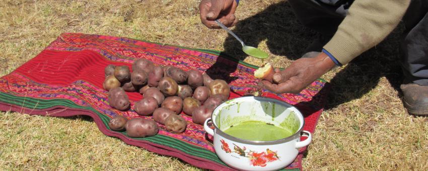 Potatoes served with aji in a village near Pisac