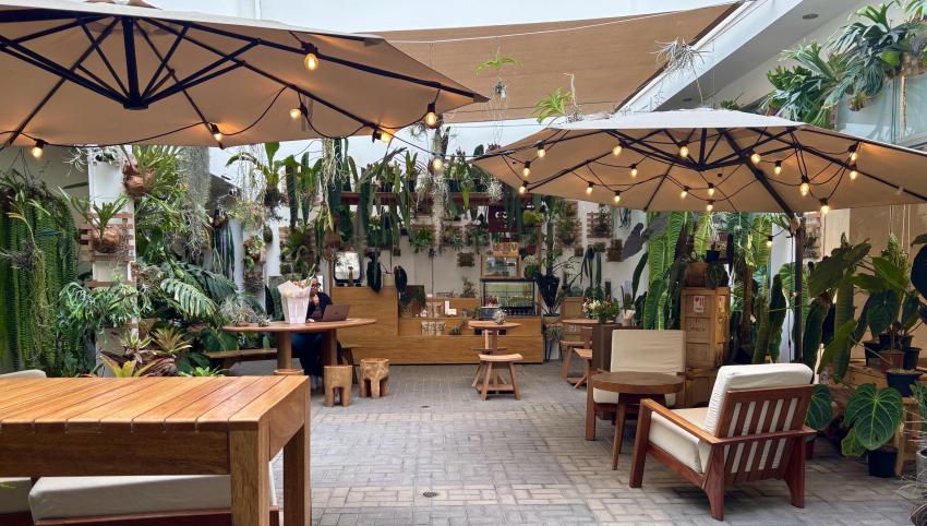 Café at Amano Museum