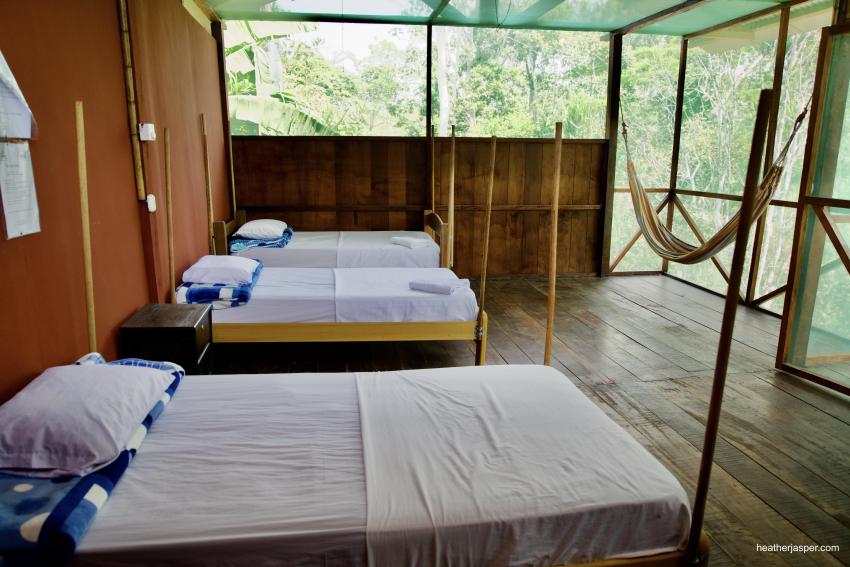 Green House Tambopata Room