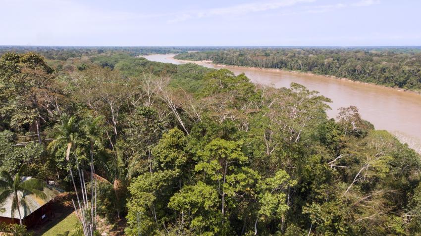 ACCA lodge at Los Amigos, Tambopata River