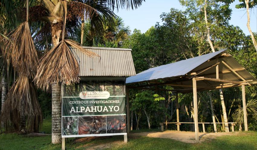 Alpahuayo Entrance