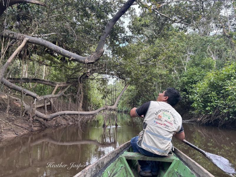 Guides take you out in wooden boats