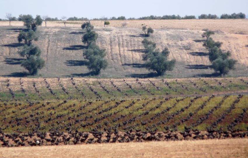 Castilla La Mancha 04