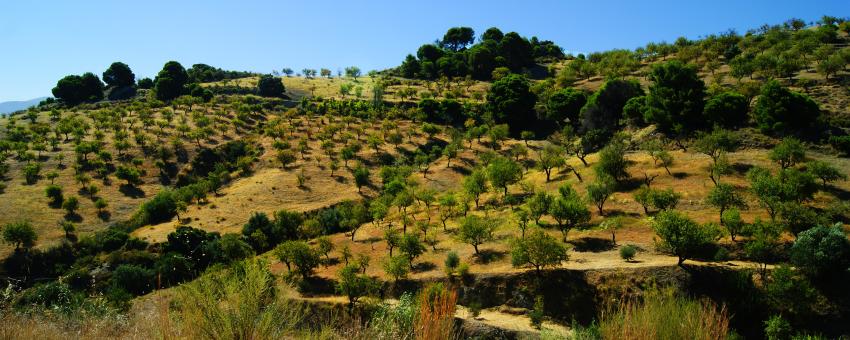 Andalucia.