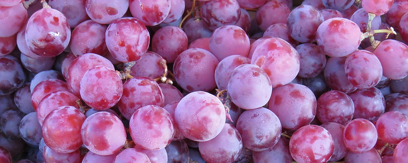 Grapes