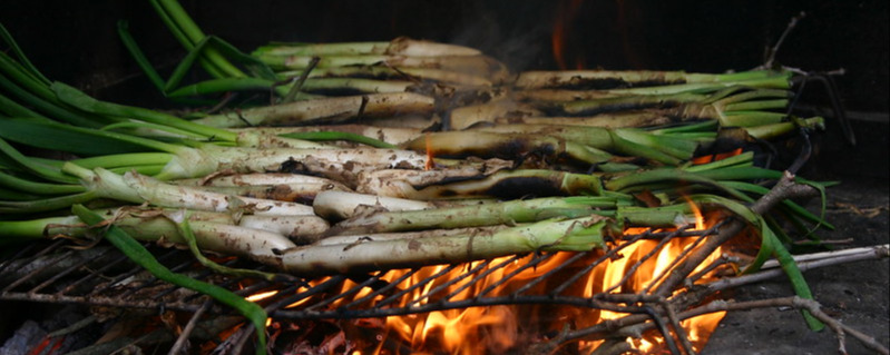 Calçot