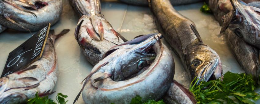 Mercado Central de Atarazanas Merluza (Hake)