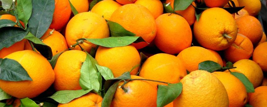 spanish oranges