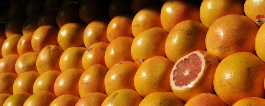 Grapefruit