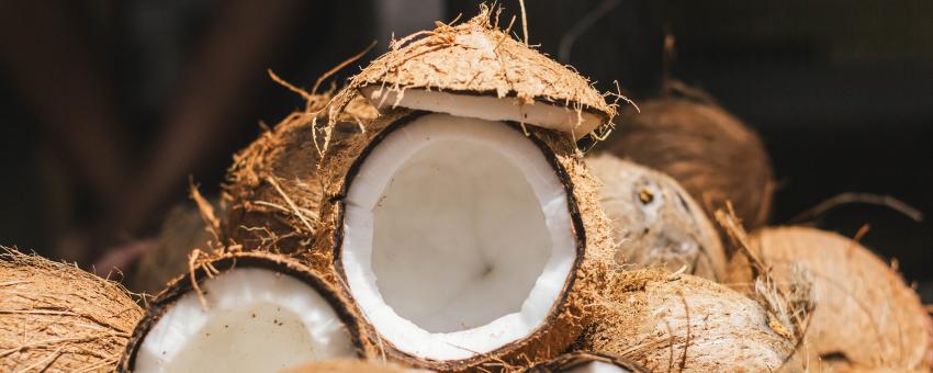 coconut 2