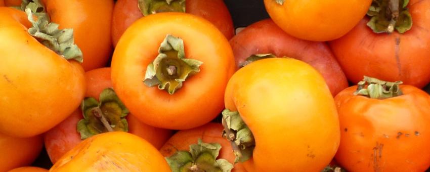 Persimmons