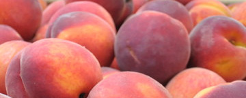 Fresh Peaches