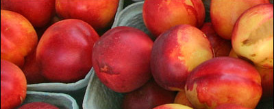 Nectarines