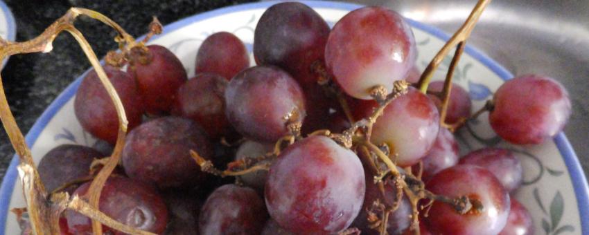 Uvas