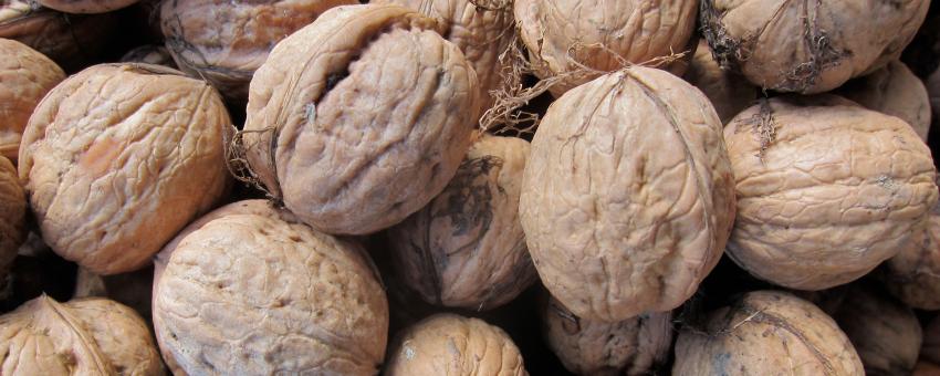 Walnuts