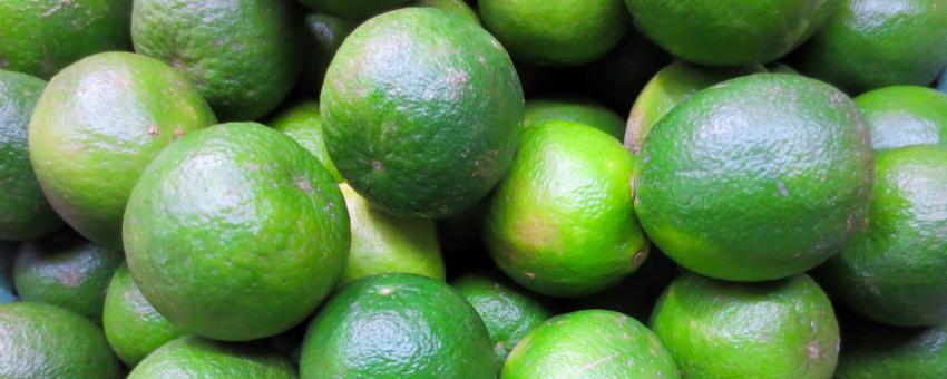 Lime