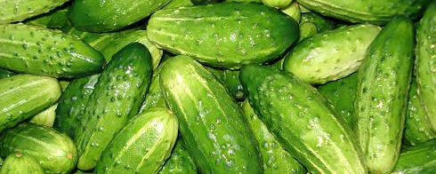 Cucumbers