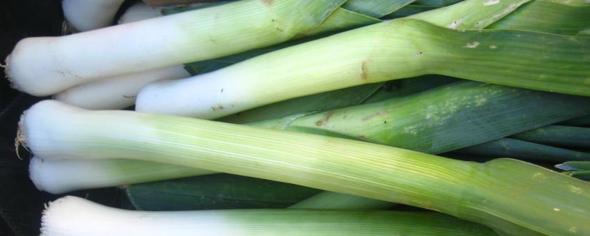 Leeks