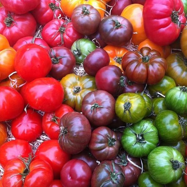 #nofilter marché Cristal